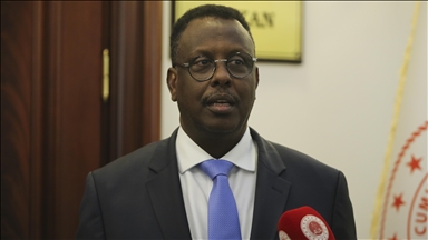 La Somalie valide l'accord d'extradition signé avec la Türkiye