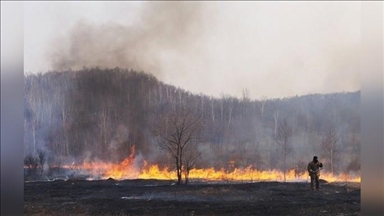 Лесостепными пожарами в Монголии уничтожено 38 430 гектаров земли