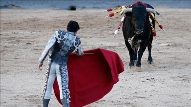 Spain to scrap its national bullfighting prize