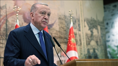 Türkiye seeks only to force Israel to Gaza cease-fire: President Erdogan