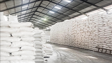 Правительство РФ ввело временный запрет на экспорт сахара из страны 