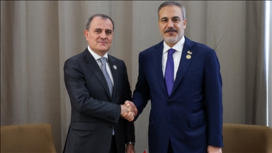 دیدار وزرای امور خارجه ترکیه و آذربایجان در گامبیا