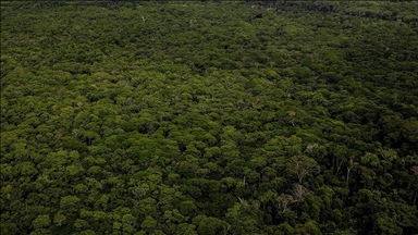 Japanese, Brazilian leaders agree to protect Amazon rainforest
