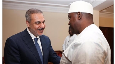 Turkish foreign minister meets with his Azerbaijani counterpart in Gambia
