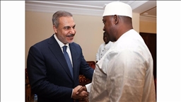 Глава МИД Турции встретился с президентом Гамбии