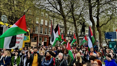 University students, activists in Ireland hold demonstrations in support of Palestine