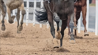 At yarışlarında "doping" kavramı yerine "yasaklı madde" ifadesi kullanılacak