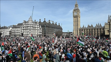 Демонстрации в поддержку Палестины в университетах США распространяются на весь мир