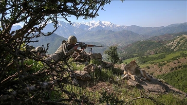 L'armée turque neutralise 16 membres du PKK dans le nord de l'Irak