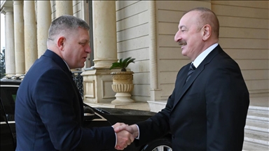 Azerbaijan, Slovakia sign documents on strategic partnership, defense cooperation
