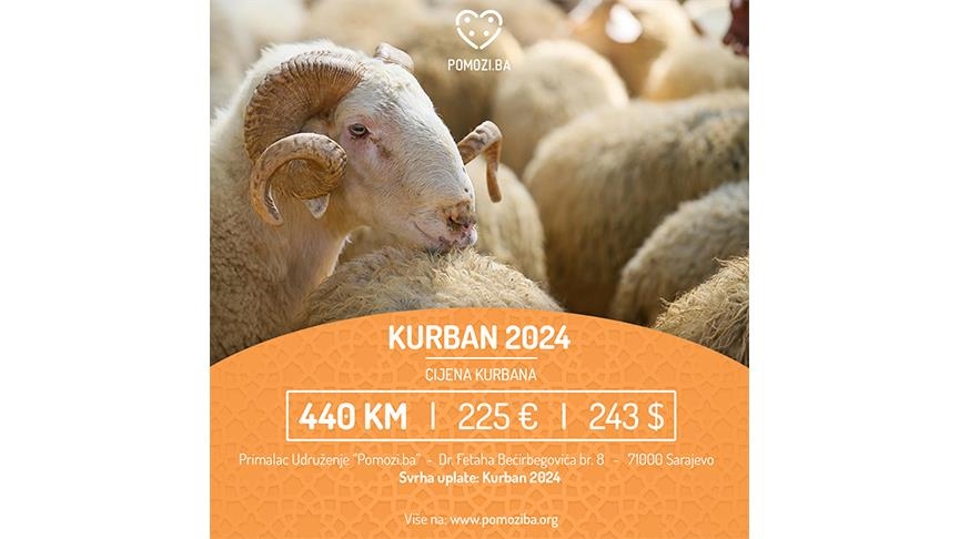 Udruženje Pomozi.ba realizuje projekat "Kurban 2024": Uplate za kurban po cijeni 440 KM