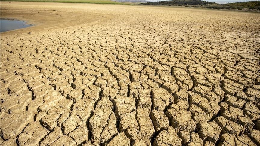 الزراعة في المغرب.. تحديات تواجه أهم قطاعات الاقتصاد (تقرير)