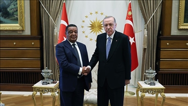 Президент Эрдоган принял экс-президента Эфиопии Вирту