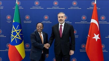 دیدار وزرای خارجه ترکیه و اتیوپی