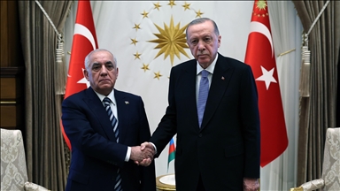 Президент Эрдоган принял премьер-министра Азербайджана Али Асадова