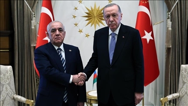 Erdogan et le Premier ministre azerbaïdjanais discutent de Gaza et de la situation dans la région