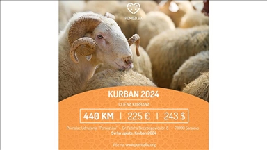 Udruženje Pomozi.ba realizuje projekat "Kurban 2024": Uplate za kurban po cijeni 440 KM 