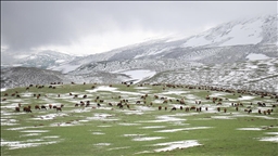 Ağrı'da çobanlar zorlu mesailerine bir yanı kar, bir yanı bahar dağlarda başladı