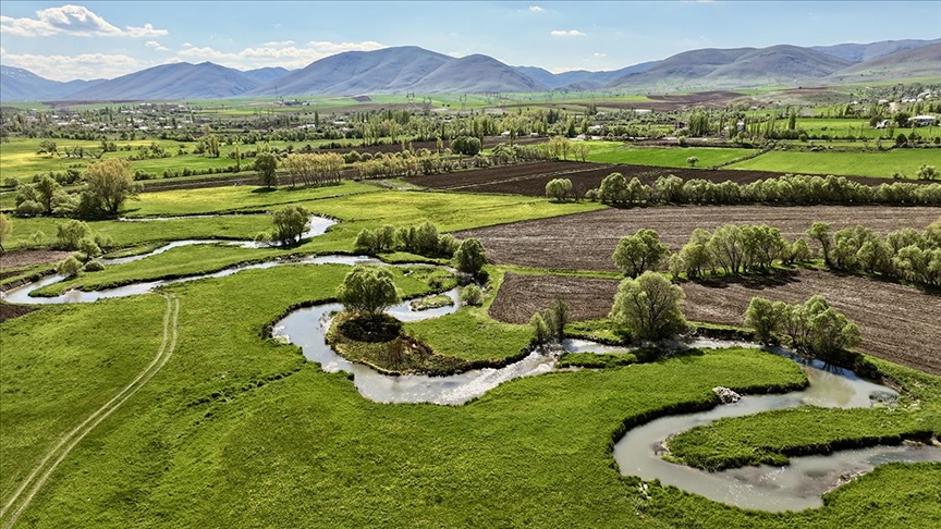 Kayseri'de menderesler tarım ve hayvancılığa hayat veriyor