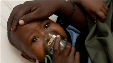 Жертвами лихорадки Ласса в Нигерии за последние четыре месяца стали 156 человек