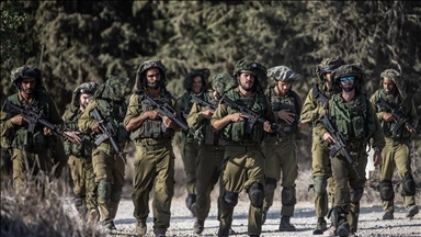 إصابة 12 جنديا إسرائيليا داسوا عشا للدبابير جنوب قطاع غزة
