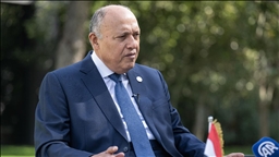 Egypt says peace treaty with Israel ‘strategic choice’