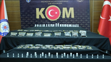 İstanbul'daki kaçakçılık operasyonunda gözaltına alınan ABD'li müze müdürü adli kontrolle serbest
