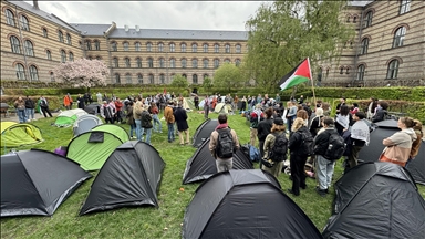 ‘They will budge’: Pro-Palestine protesters at Danish university hopeful of divestment success