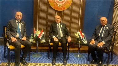 الأردن ومصر والعراق يدعون لتحرك دولي "فوري" لوقف عمليات رفح
