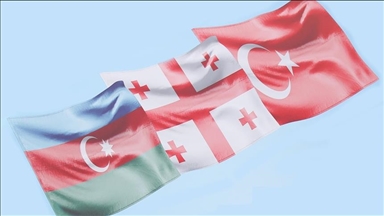 Делегации Турции, Грузии и Азербайджана обсудили таможенные и торговые вопросы