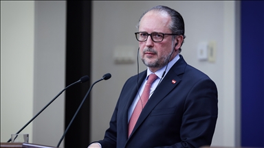 Глава МИД: Австрия приветствует мирные усилия Турции по Украине