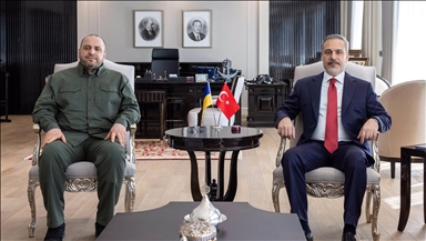 دیدار وزیر خارجه ترکیه با وزیر دفاع اوکراین