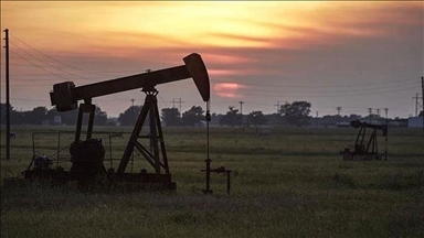 Oil down ahead of key US inflation data, strong dollar index