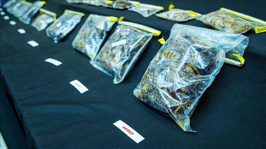 US museum curator violated research permit in Türkiye, official document reveals