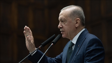 Эрдоган призвал к конкретным шагам по принятию новой Конституции