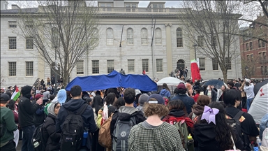 Пропалестинские студенты в Гарвардском университете объявили о достижении соглашения с администрацией