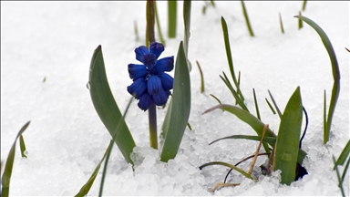 Kars'ta kar yağışı etkili oldu 