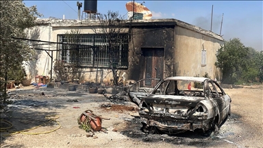 الضفة.. إصابة فلسطيني وحرق ممتلكات بهجوم لمستوطنين قرب نابلس