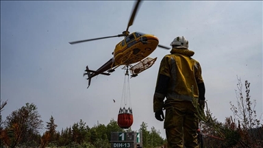 В Канаде более 6 тыс. человек эвакуируют из-за лесных пожаров