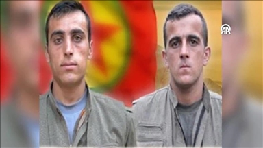 الاستخبارات التركية تحيد إرهابيين اثنين من "بي كي كي" شمالي العراق