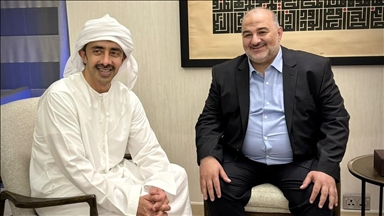 وزير خارجية الإمارات يحذر من "التصعيد الخطير في المنطقة"