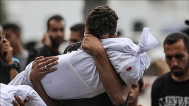 Число жертв израильской агрессии в Газе за 225 дней достигло 35 386