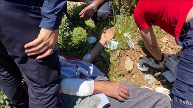 Hakkari'de hayvanlarını otlatırken ayının saldırdığı kişi yaralandı 
