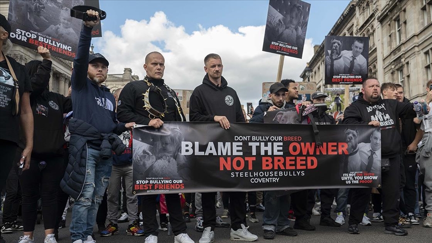 Londra'da sahibi olduğu köpeklerin saldırısına uğrayan kadın hayatını kaybetti