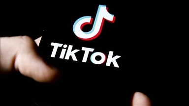 L’interdiction de TikTok en Nouvelle-Calédonie contestée devant le Conseil d’Etat