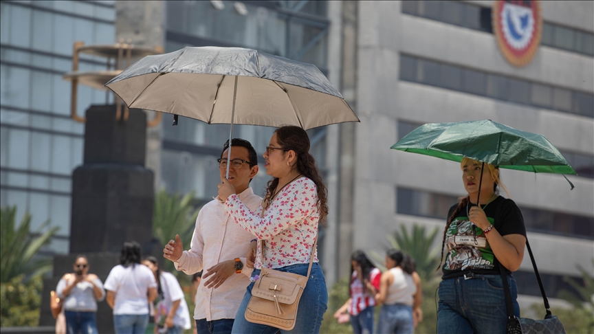 146 howling monkeys dead in Mexico amid extreme heat wave 146 howling monkeys dead in Mexico amid extreme heat wave