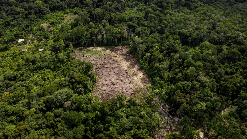 Increasing occurrence of drought tests Amazon rainforest's resilience