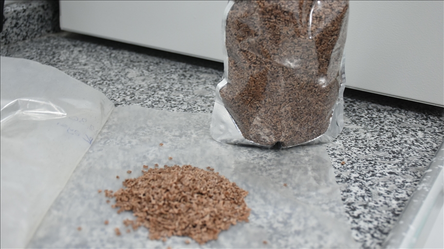 Kayısı çekirdeği kabuğundan biyoplastik üretildi