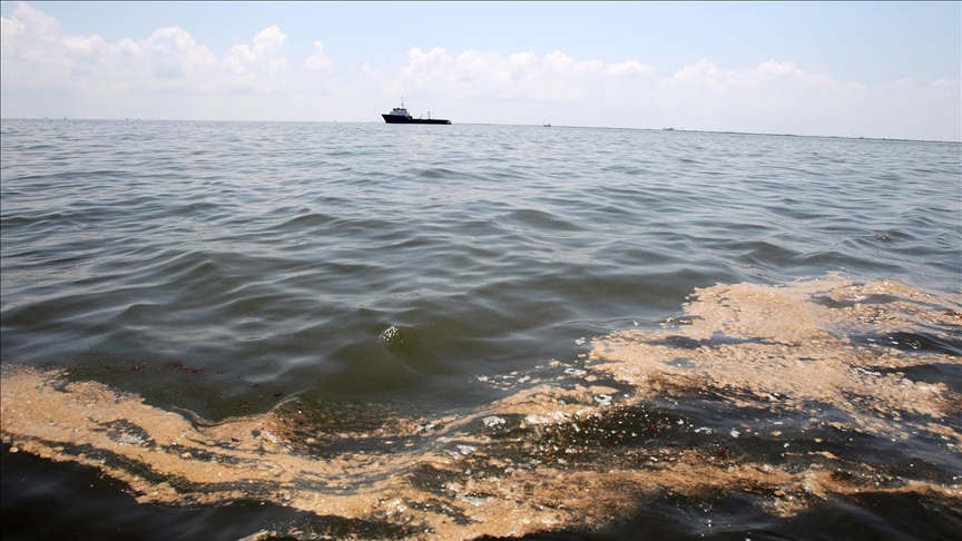 Türkiye, Azerbaijan jointly developing eco-friendly oil spill cleanup method