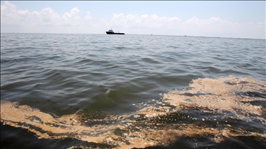 Türkiye, Azerbaijan jointly developing eco-friendly oil spill cleanup method